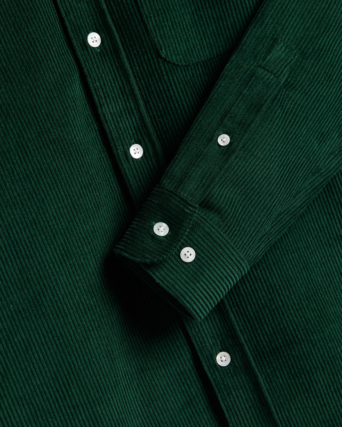 Chemise Lobo Portuguese Flannel verte